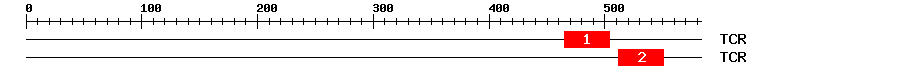 Signature Domain