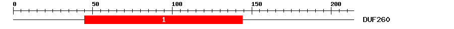 Signature Domain