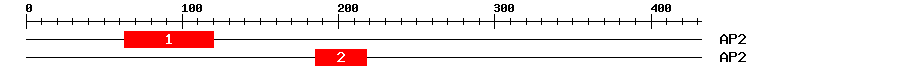 Signature Domain