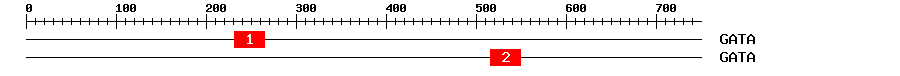 Signature Domain