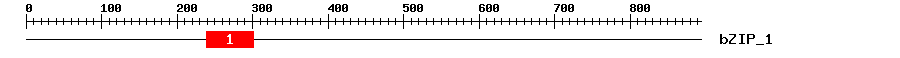 Signature Domain