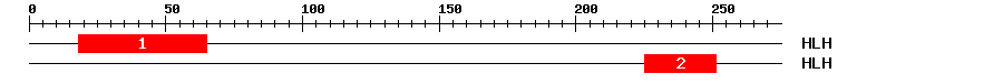 Signature Domain