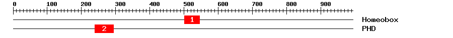 Signature Domain