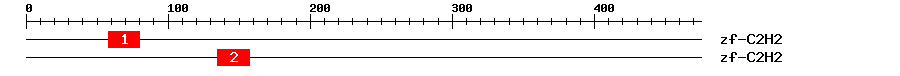Signature Domain