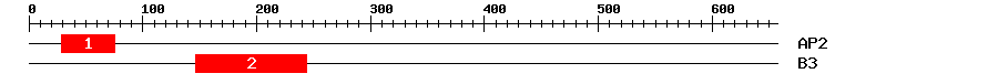 Signature Domain