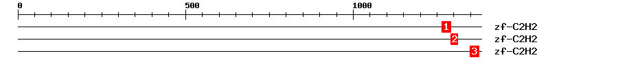 Signature Domain