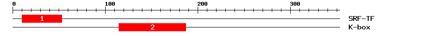 Signature Domain