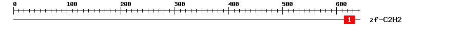 Signature Domain