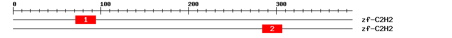 Signature Domain