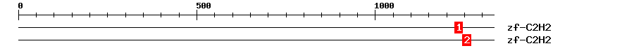 Signature Domain