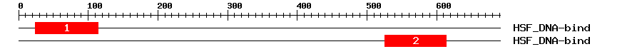 Signature Domain
