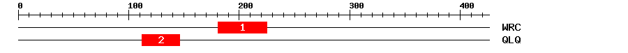 Signature Domain