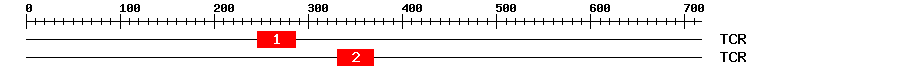 Signature Domain