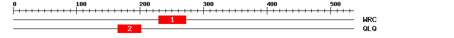 Signature Domain