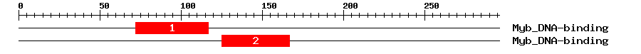 Signature Domain