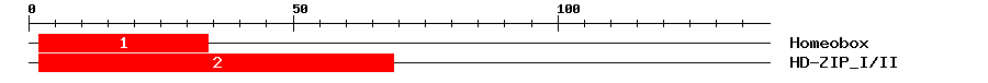Signature Domain