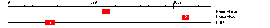 Signature Domain