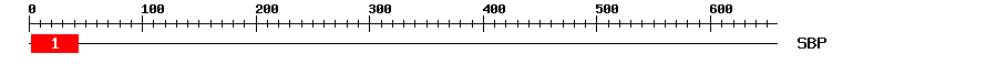 Signature Domain