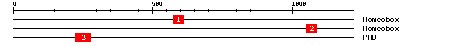 Signature Domain
