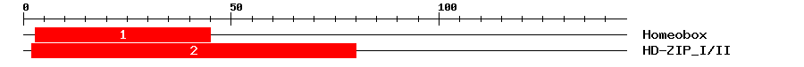 Signature Domain