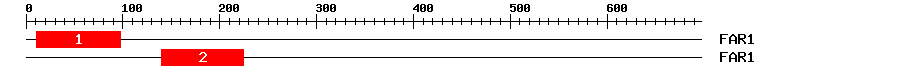Signature Domain