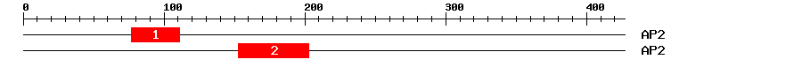 Signature Domain