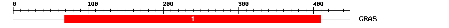 Signature Domain