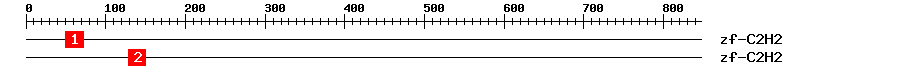 Signature Domain