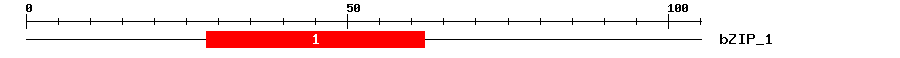 Signature Domain