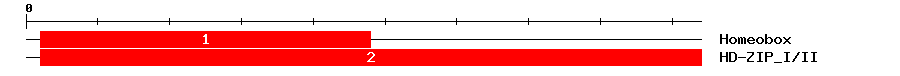 Signature Domain