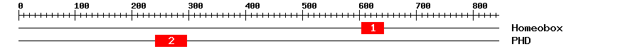 Signature Domain