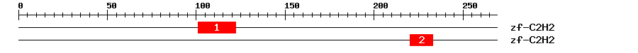 Signature Domain