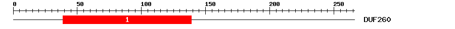 Signature Domain