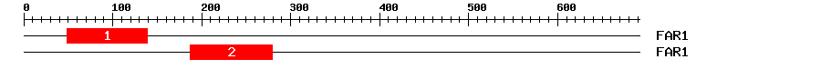 Signature Domain