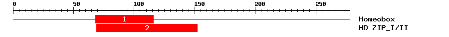 Signature Domain