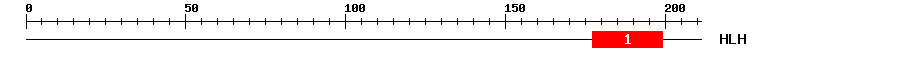 Signature Domain