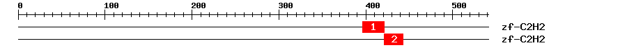 Signature Domain