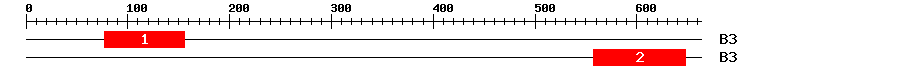 Signature Domain