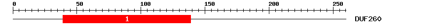 Signature Domain
