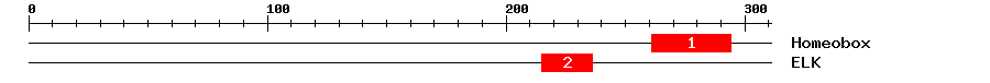 Signature Domain