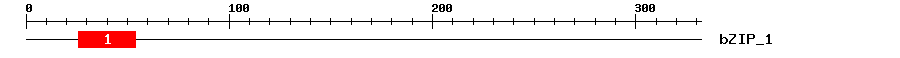 Signature Domain