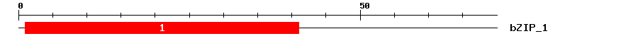Signature Domain