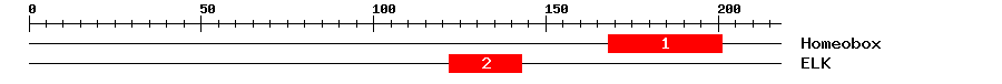 Signature Domain
