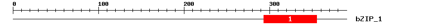 Signature Domain