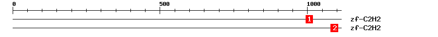 Signature Domain