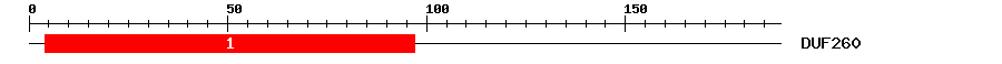 Signature Domain