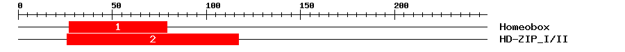 Signature Domain