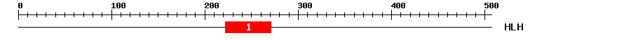 Signature Domain