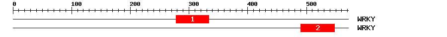 Signature Domain