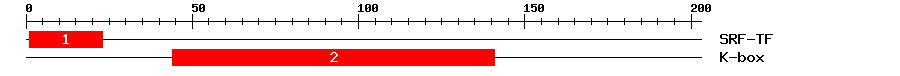 Signature Domain
